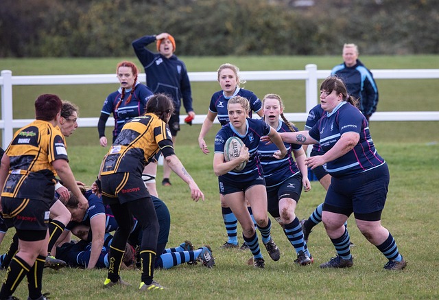 这一选择也 这一选择也