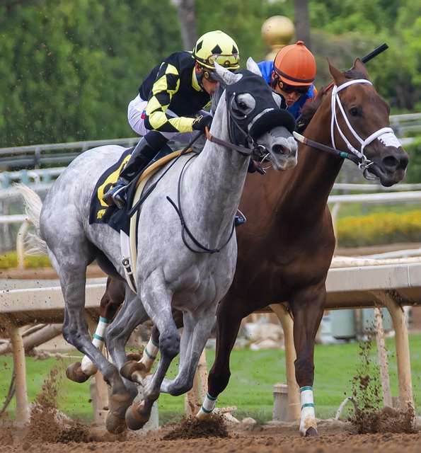 人无法忘怀 人无法忘怀